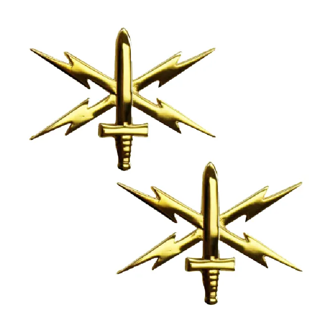 Army Officer Branch Insignia Lapel Pin Set - Cyber Warfare