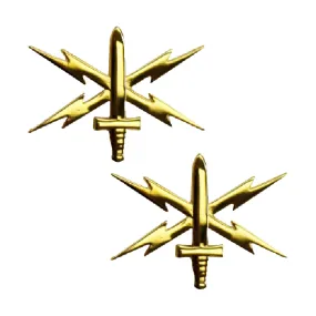 Army Officer Branch Insignia Lapel Pin Set - Cyber Warfare