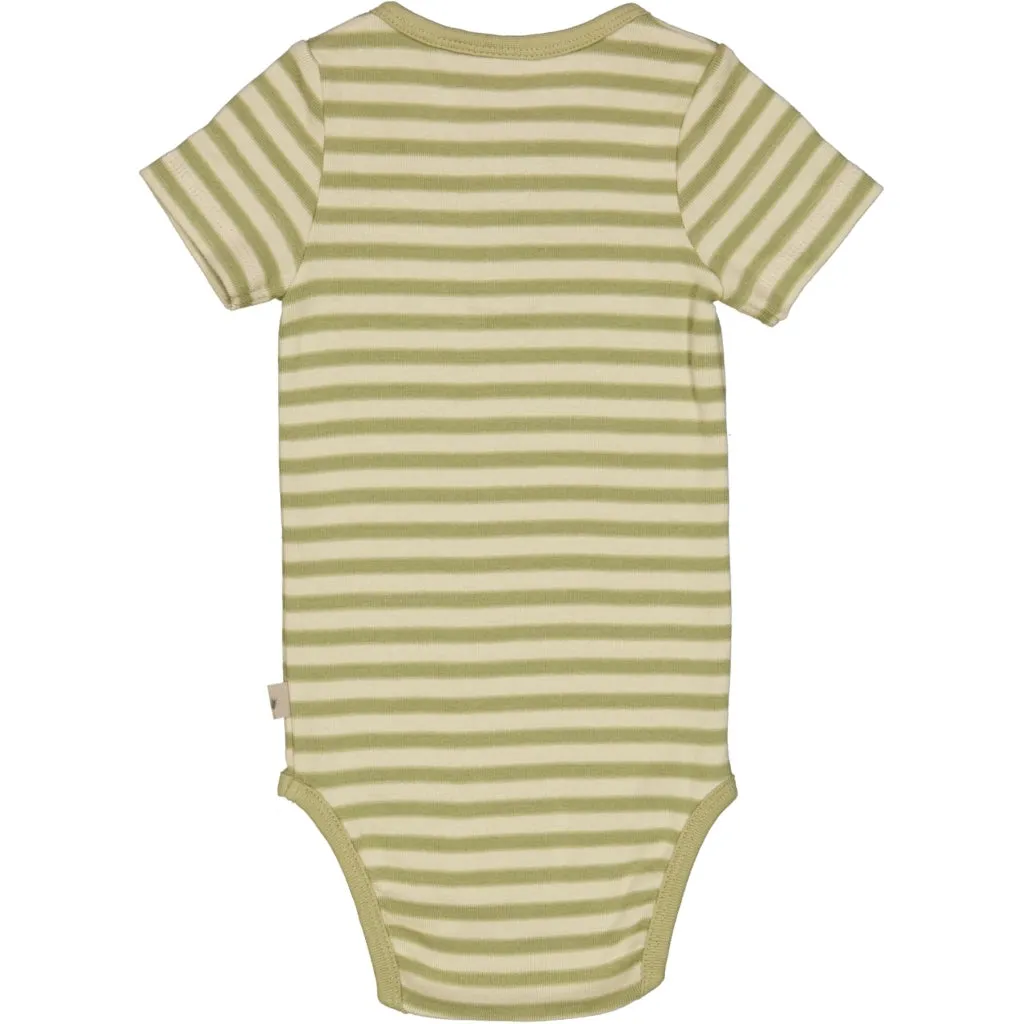 Body Placket SS - green stripe